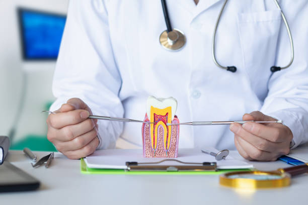 Best Emergency Orthodontic Repairs in Monument Hills, CA